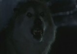 Фильм Лэсси / Lassie (1994) - cцена 3